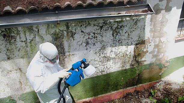 Trusted Mold Remediation service in Marbury, MD - Cheap Mold Removal